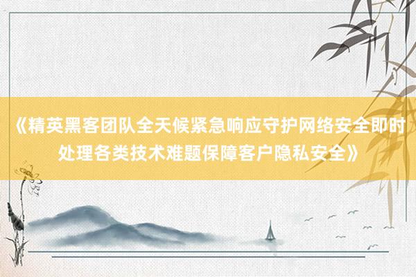 《精英黑客团队全天候紧急响应守护网络安全即时处理各类技术难题保障客户隐私安全》