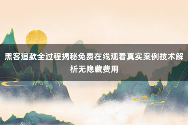 黑客追款全过程揭秘免费在线观看真实案例技术解析无隐藏费用