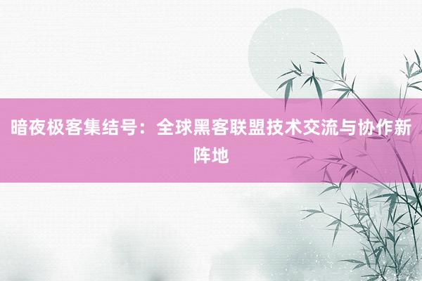 暗夜极客集结号：全球黑客联盟技术交流与协作新阵地