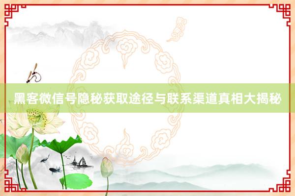 黑客微信号隐秘获取途径与联系渠道真相大揭秘